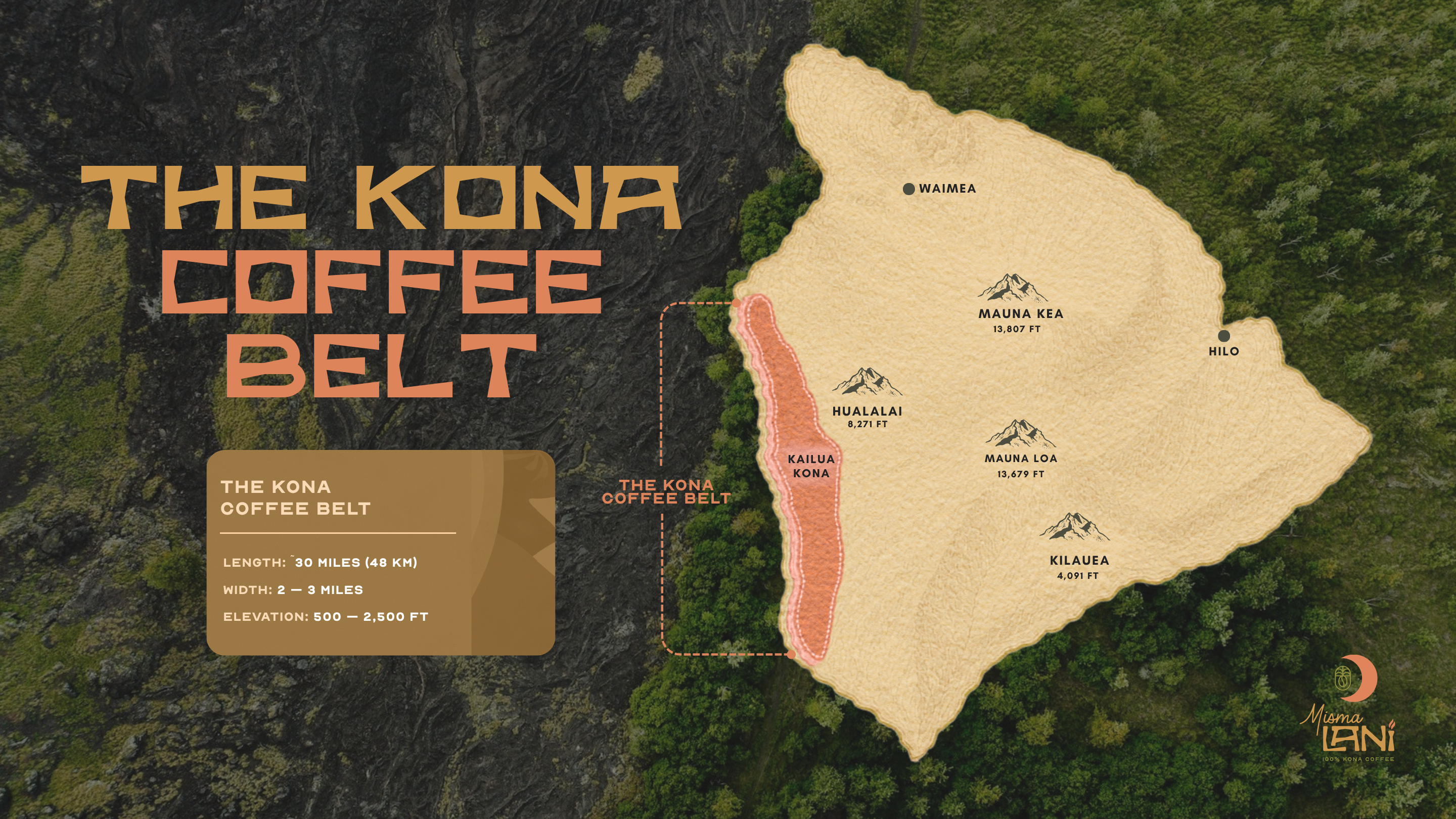 Why the Kona Coffee Belt Is Important