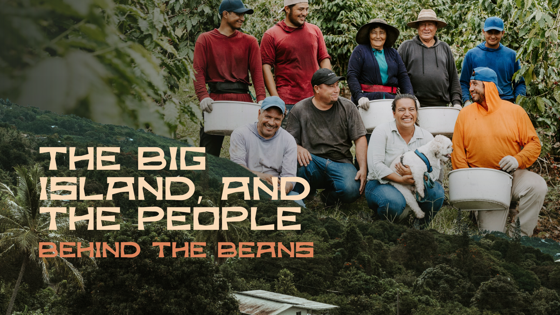 What Kona Coffee Means to the Big Island of Hawaiʻi and Its Migrant Workers