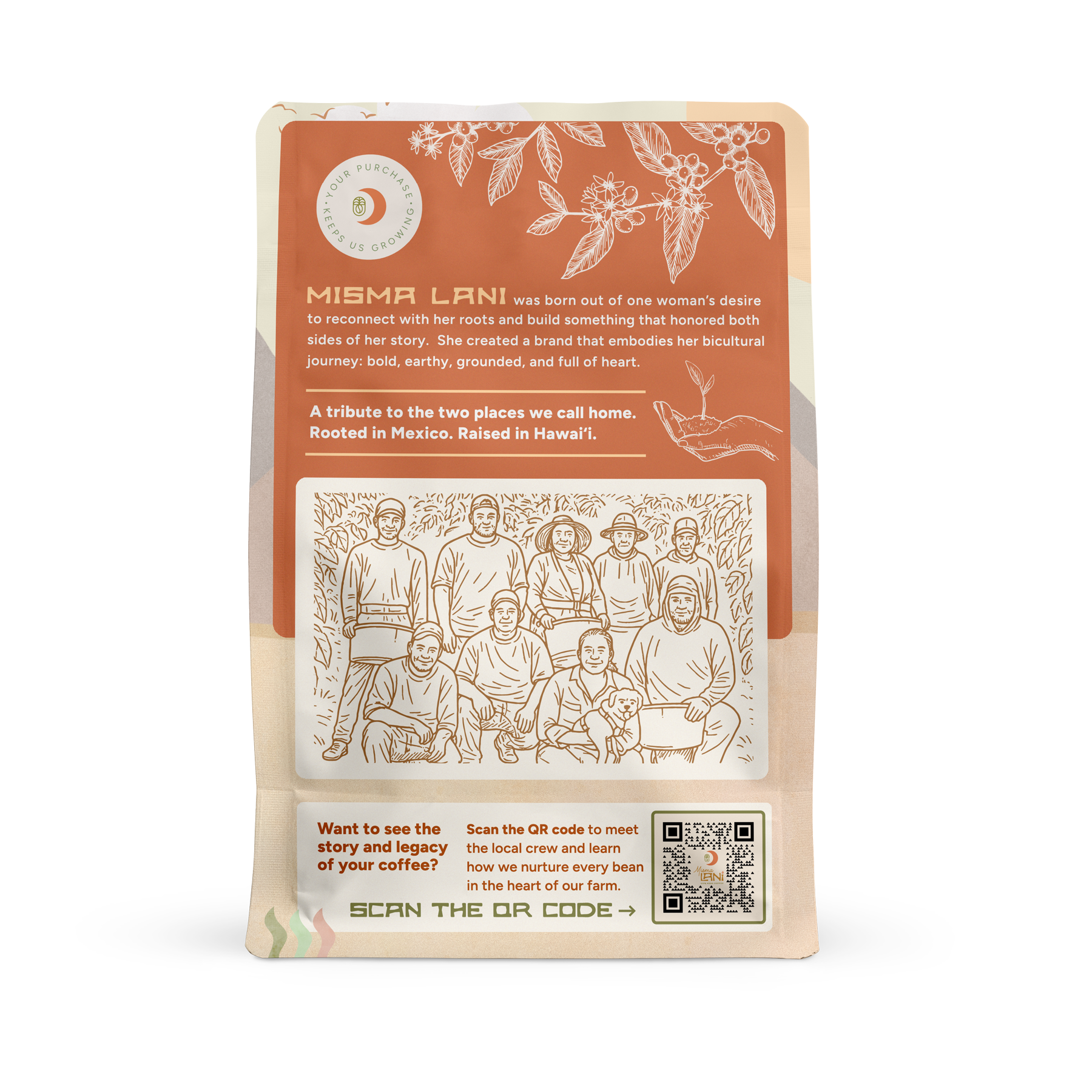 Celeste Light Roast Coffee – High Caffeine, Washed Processed Kona Blend