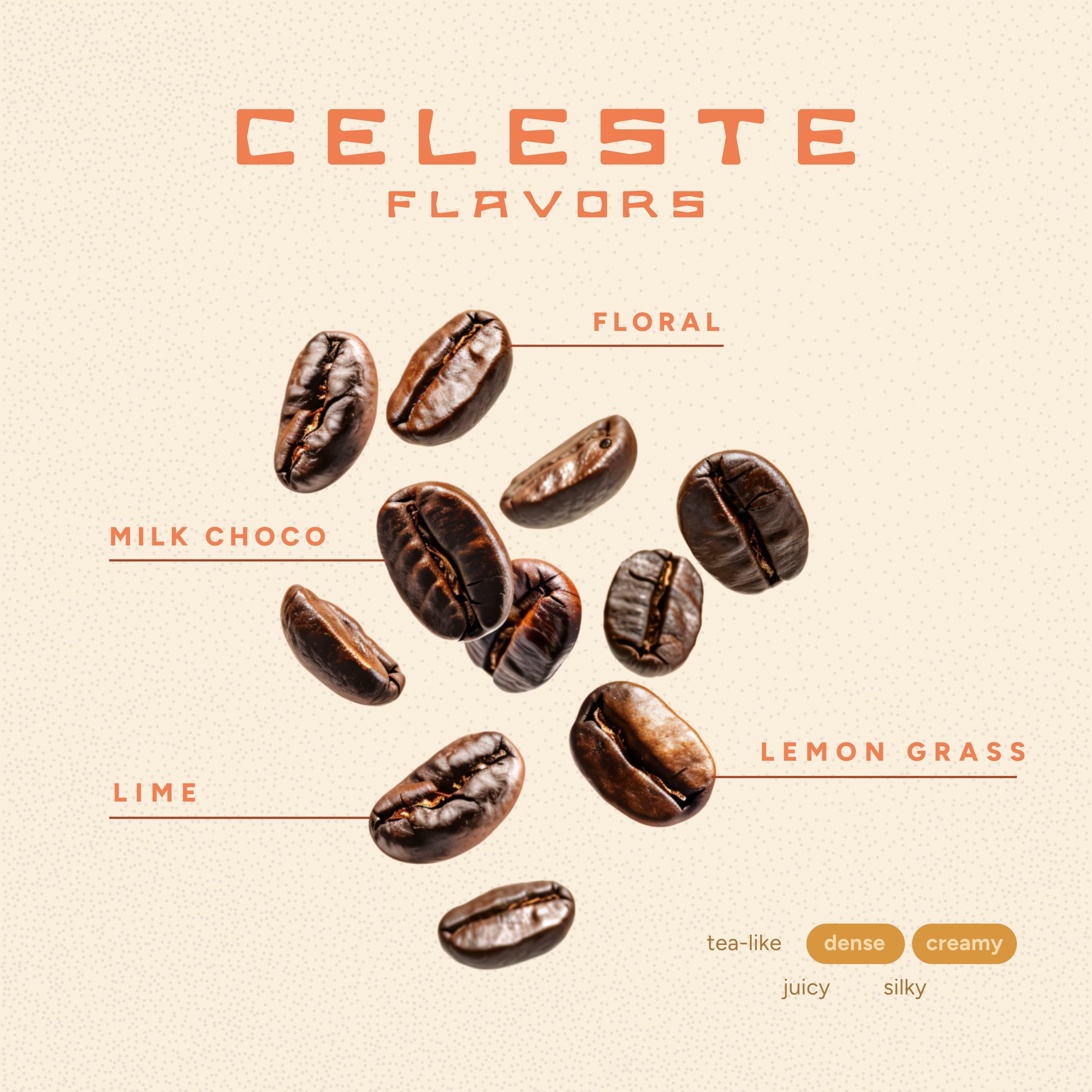 Celeste Light Roast Coffee – High Caffeine, Washed Processed Kona Blend