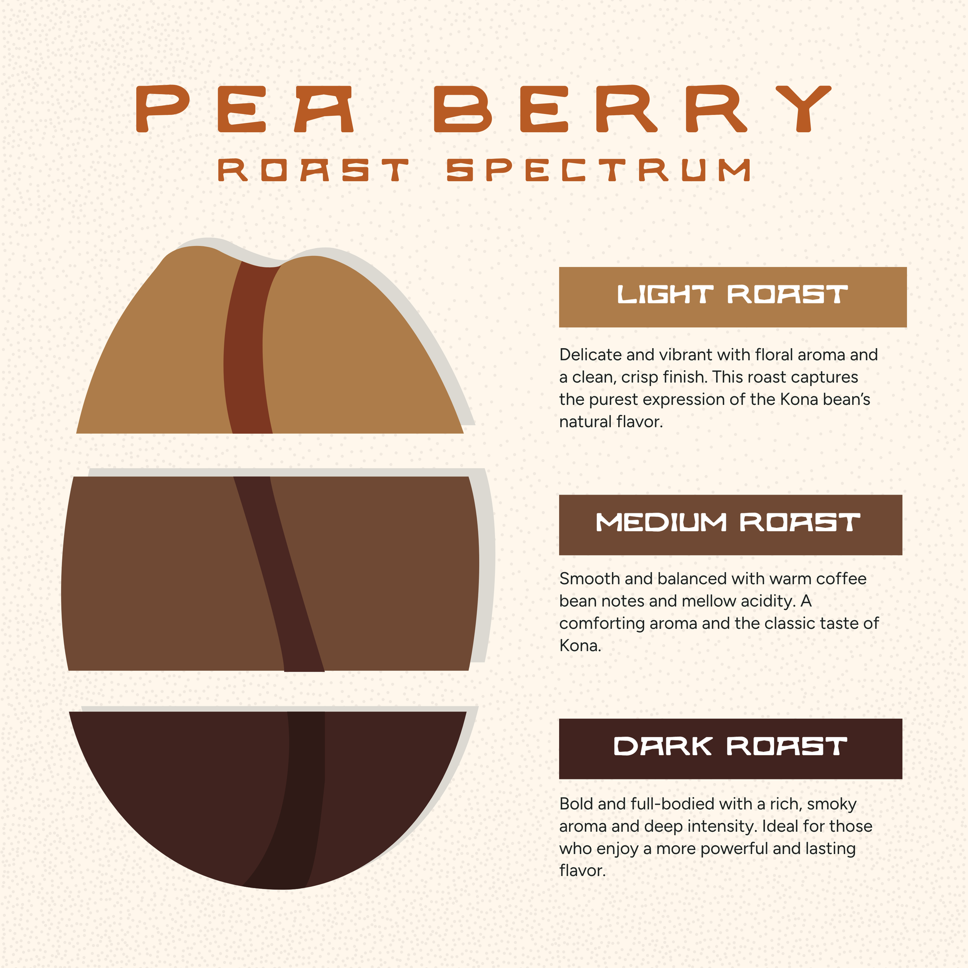 Peaberry Coffee – Light/Medium Roast with Unique Flavor Profile
