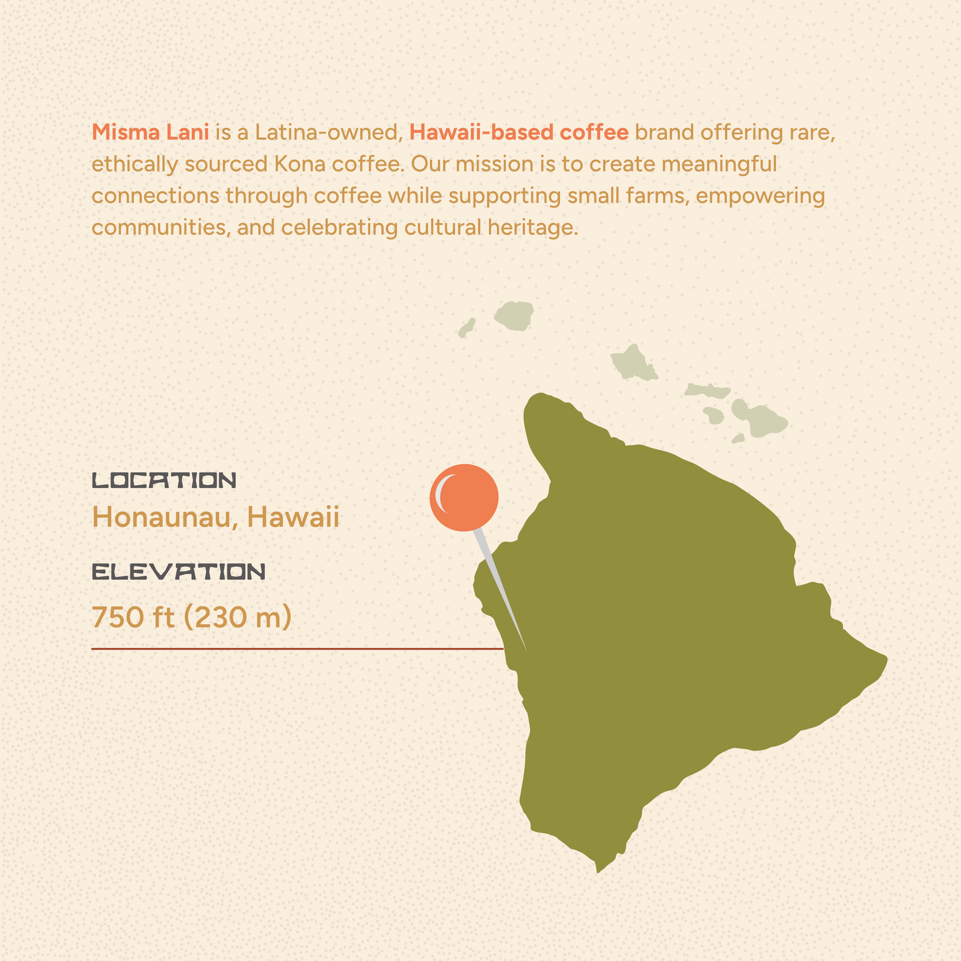 Celeste Light Roast Coffee – High Caffeine, Washed Processed Kona Blend