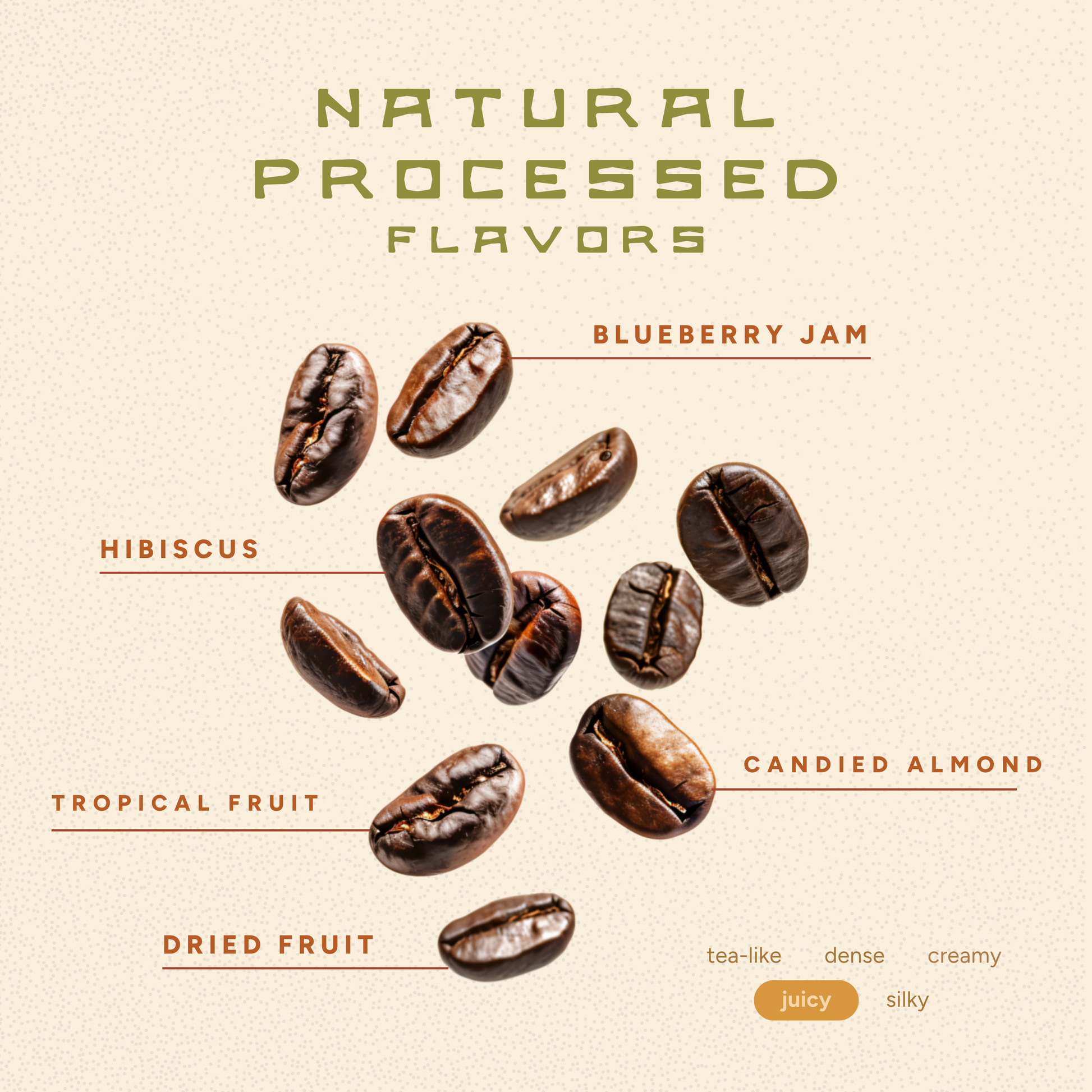 Sol Frutal | Light/Medium Roast Coffee – Fruity and Juicy Kona Blend